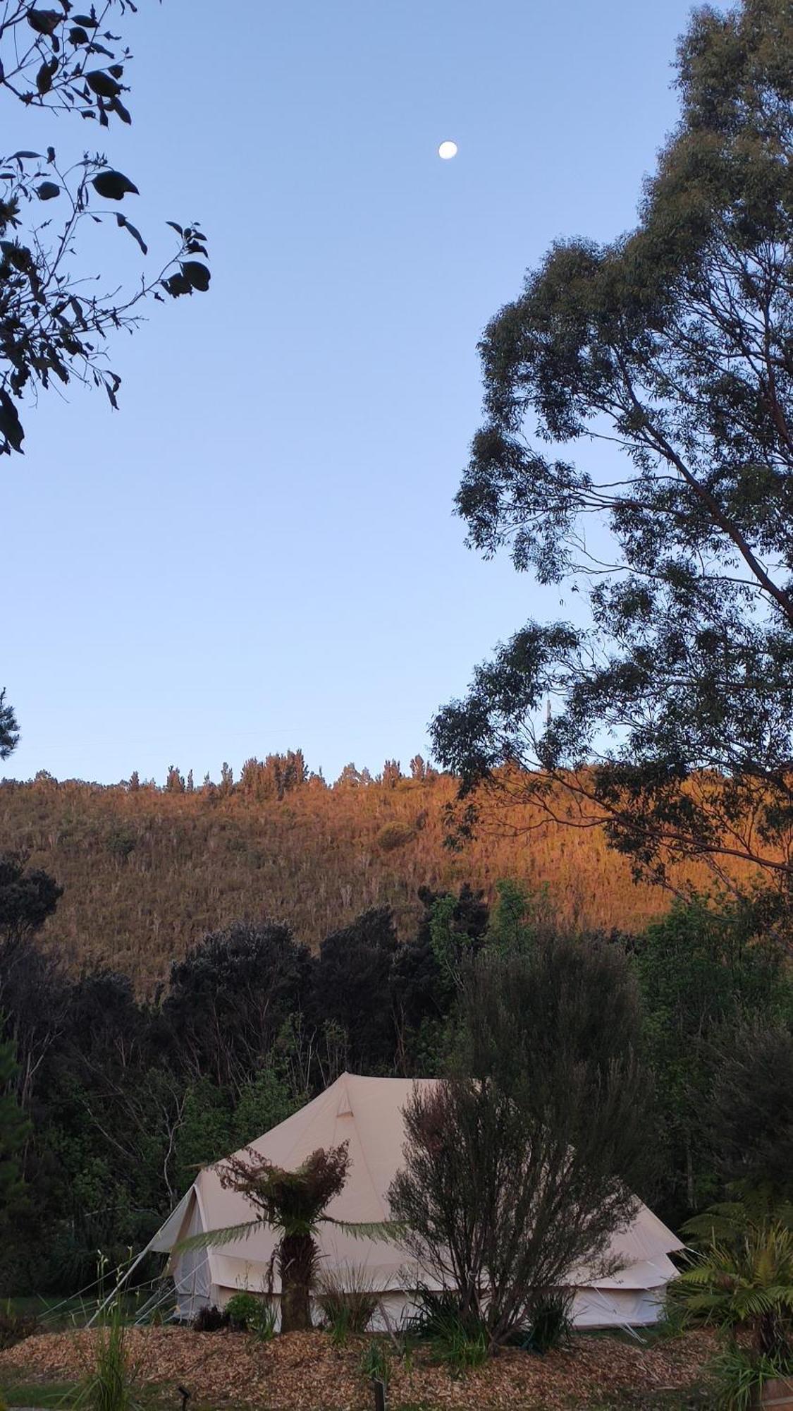 Glamping At Zeehan Bush Camp Exterior foto