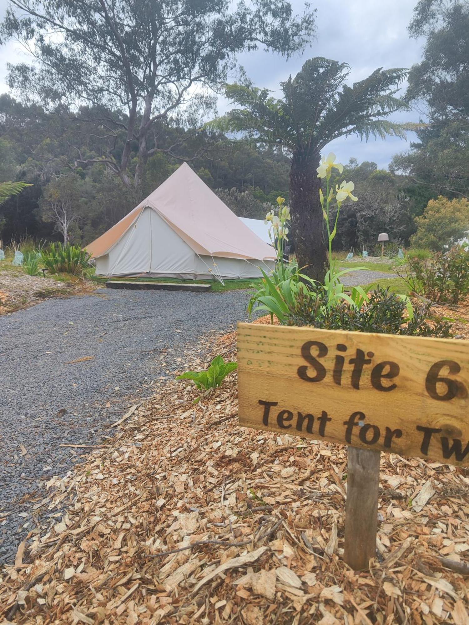 Glamping At Zeehan Bush Camp Exterior foto