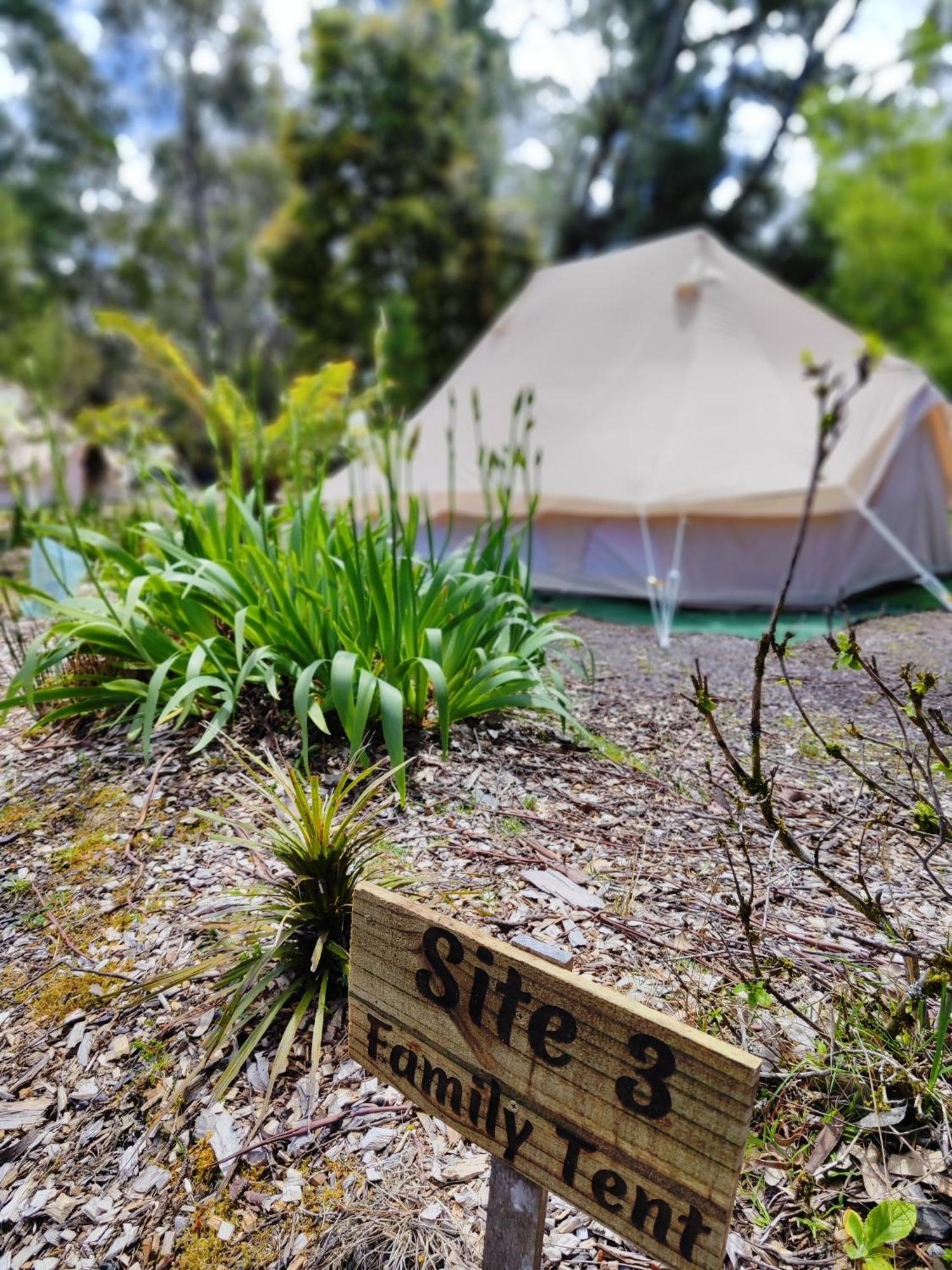 Glamping At Zeehan Bush Camp Exterior foto