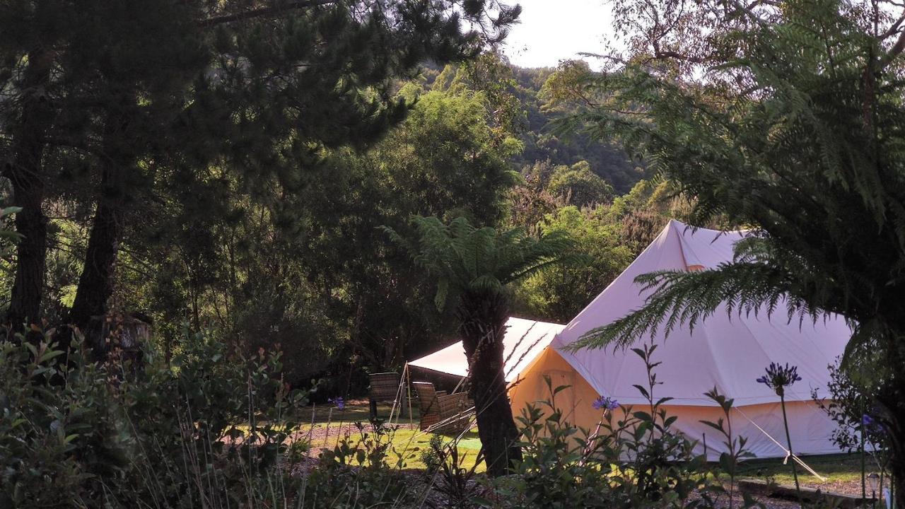 Glamping At Zeehan Bush Camp Exterior foto