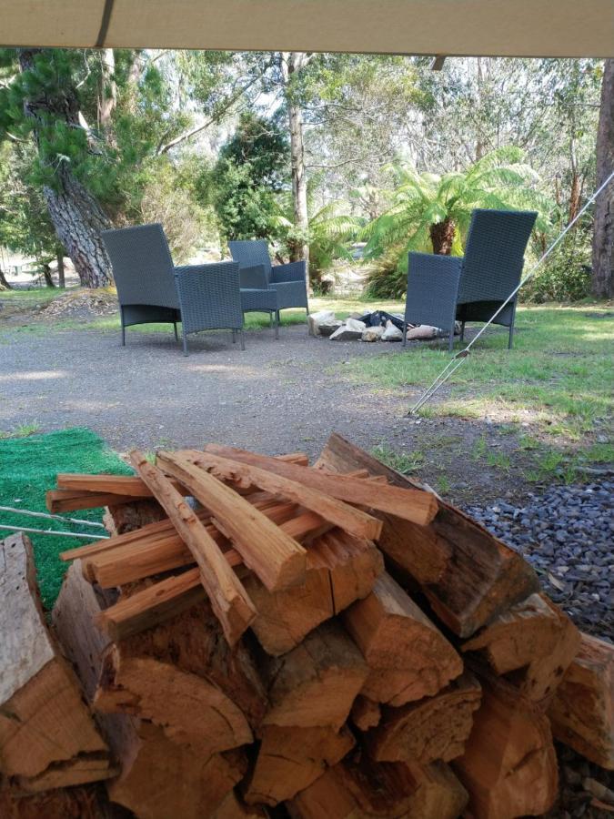 Glamping At Zeehan Bush Camp Exterior foto